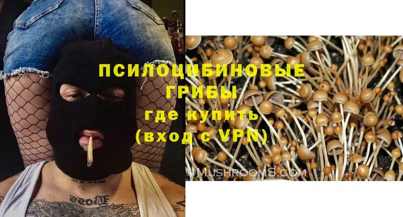 Галлюциногенные грибы MAGIC MUSHROOMS  Дмитриев 